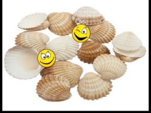 Creatividad marina: Manualidades con ostras de mar, ¿te atreves?