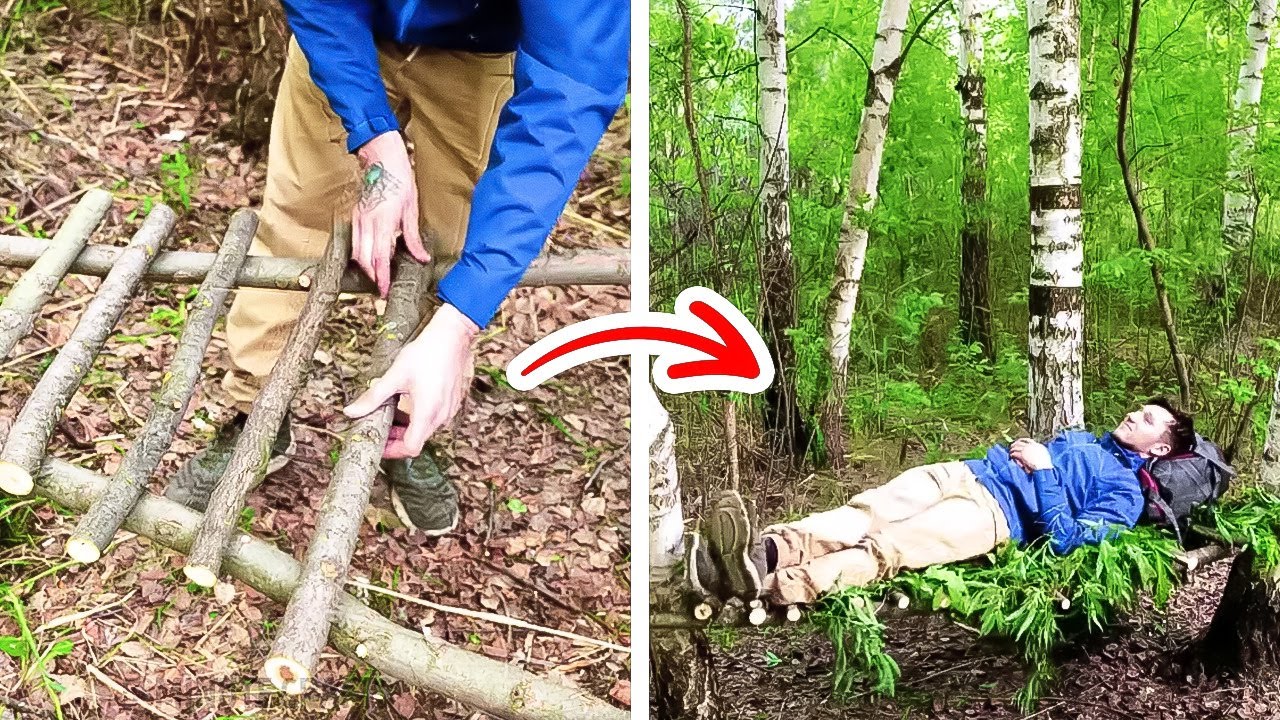Descubre la guía de supervivencia en el bosque, ¡sobrevive a la naturaleza!